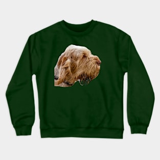 Hound waiting at a field trial Crewneck Sweatshirt